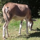 Garden service at Greyton EcoLodge